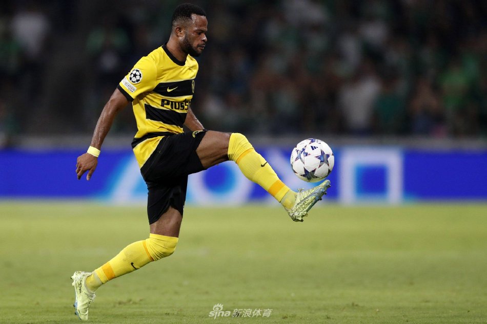 实力和应变 实力和应变