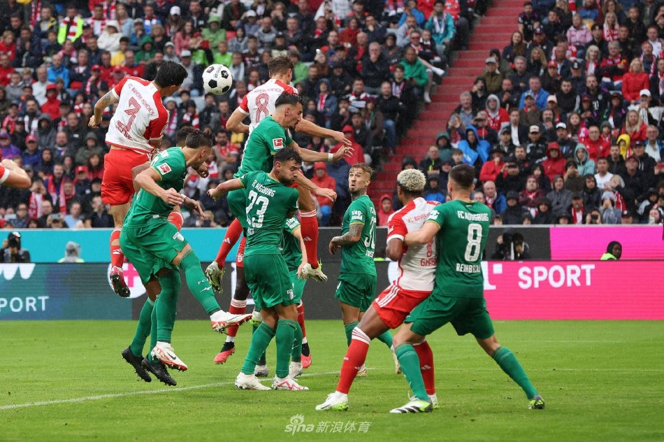 宾汉姆的遭 宾汉姆的遭